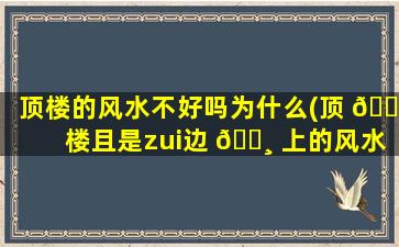 顶楼的风水不好吗为什么(顶 🕸 楼且是zui
边 🌸 上的风水怎样)